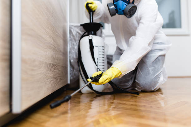 Best Pest Prevention Services  in Colesville, MD
